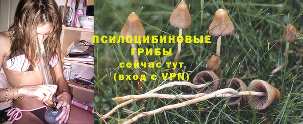 шишки Липки