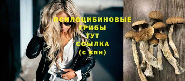 круглые Ладушкин