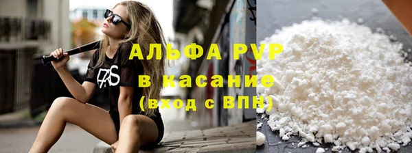 прущие грибы Куйбышев