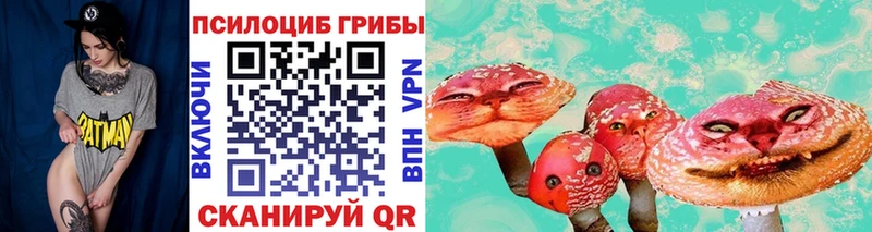 Псилоцибиновые грибы GOLDEN TEACHER  Сясьстрой 